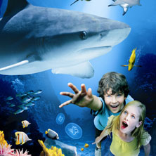 London Aquarium - Tickets