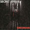 SECRET AFFAIR