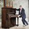 HUGH LAURIE