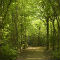 Stanmer Park Brighton