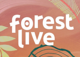 5 Minutes with Forest Live
