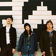 Spirit of the Beehive