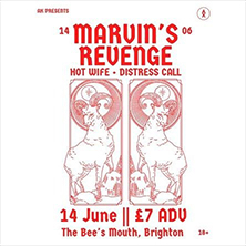 Marvin's Revenge