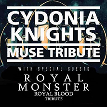 Cydonia Knights Muse Tribute
