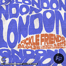 Fickle Friends