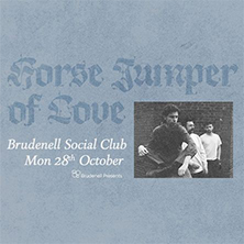 Horse Jumper Of Love
