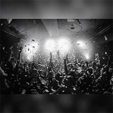 Jelly XIX - Bank Holiday Special