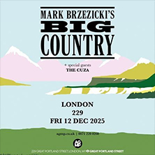 Mark Brzezicki's Big Country