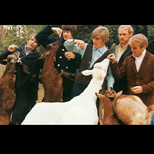 The Beach Boys Revisited