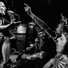 Peter and the test Tube babies