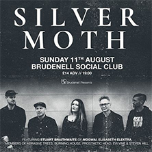 Silver Moth