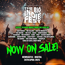The Big Indie Tribute Fest!