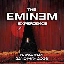 The Eminem Experience