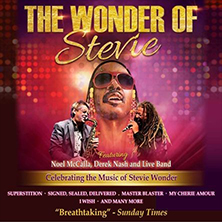 The Wonder Of Stevie
