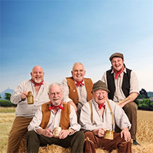 The Wurzels