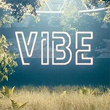 VIBE Summer Opening Party