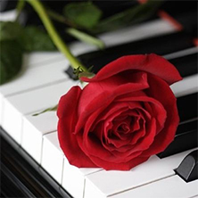 Valentine's Moonlight Sonata