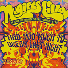 I Had Too Much To Dream Last Night