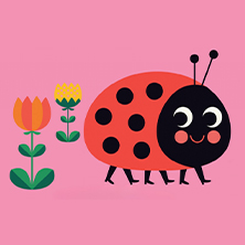 Where's Mrs Ladybird?