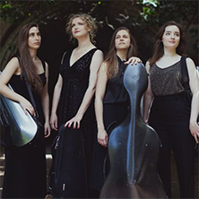 Strand Chamber Music Series