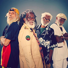 The Congos