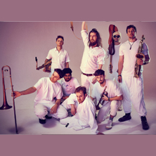 TOM MCGUIRE & THE BRASSHOLES