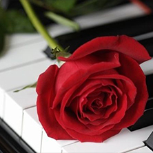 Valentines Moonlight Sonata