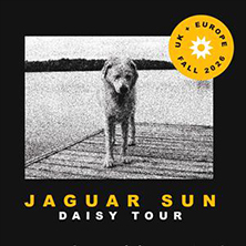 Jaguar Sun
