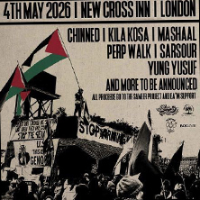 Punks For Palestine IV