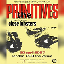 The Primitives