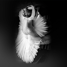 Ballet Icons Gala