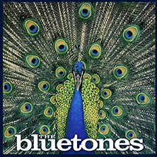The Bluetones