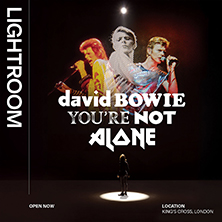 David Bowie: You're Not Alone