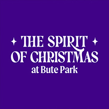 Christmas at Bute Park