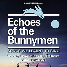 Echoes of the Bunnymen