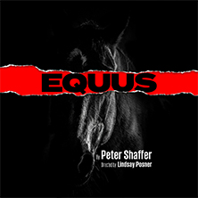 Equus