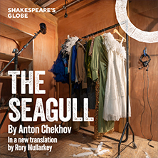 The Seagull