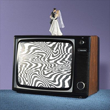 Trial By Jury & The Zoo