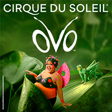 CIRQUE DO SOLEIL: OVO