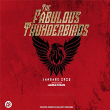 The Fabulous Thunderbirds