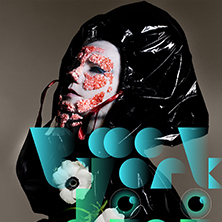 Bjork
