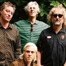 Robyn Hitchcock & the Venus 3