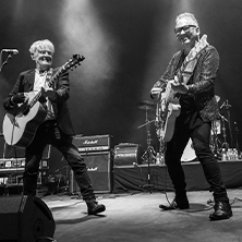 The Saw Doctors