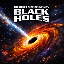 Black Holes: The Other Side of Infinity