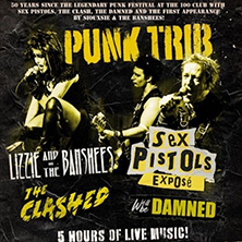 Sex Pistols Expos&eacute;/Lizzie & The Banshees