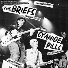 The Briefs