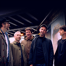 The Rifles