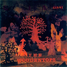 The Woodentops
