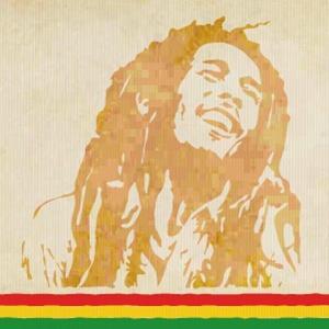 The Marley Experience