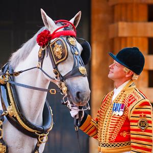 ROYAL MEWS